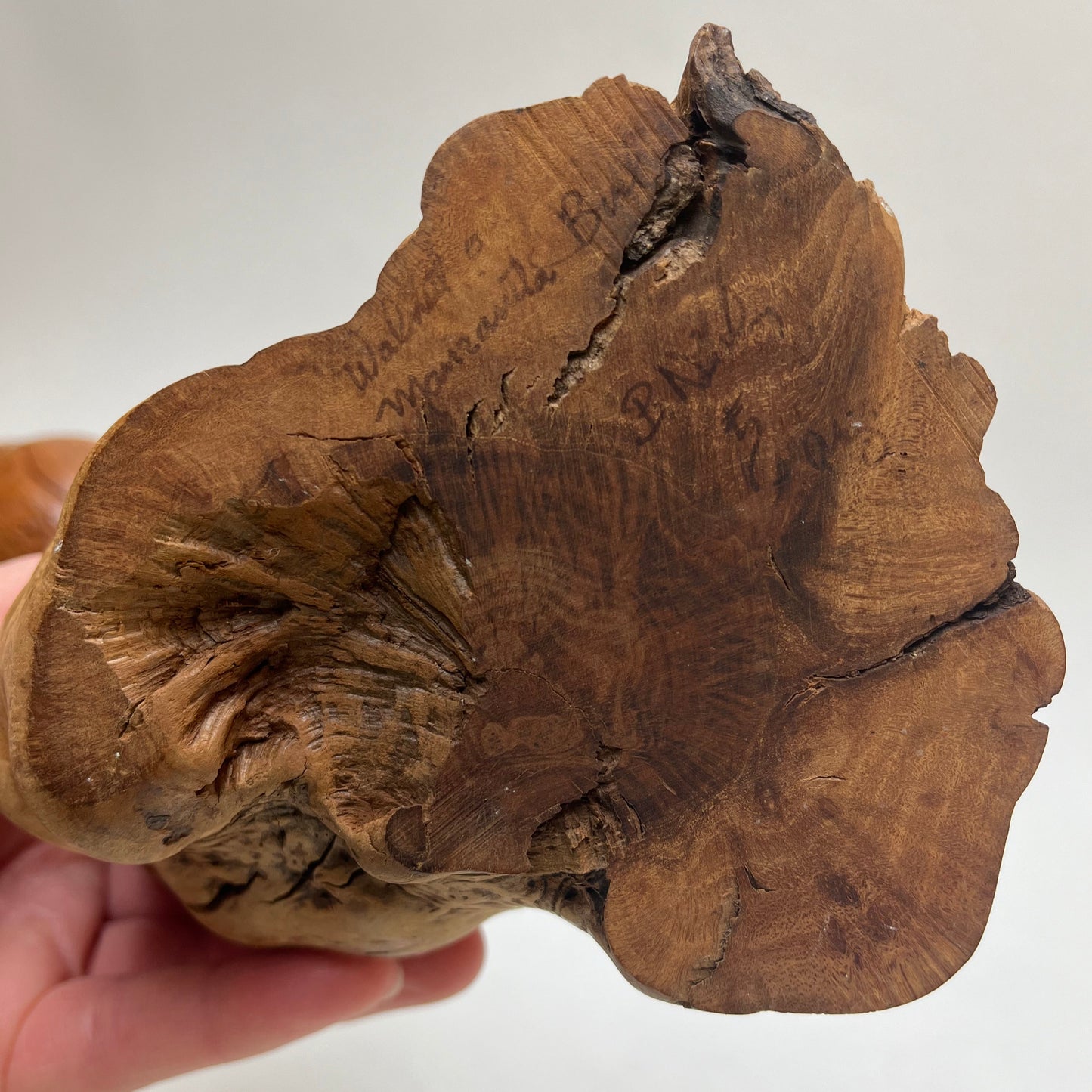 William “Bill” Neely Hand Carved Maple & Manzanita Burl Wood Bird Sculpture As-is